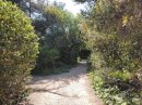 Jardin de Maguelone